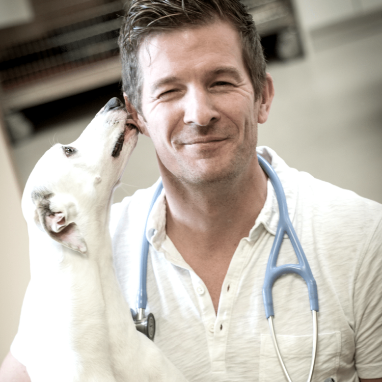 Dr. Mark De Wolde